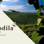 I migliori Wine Tour in Friuli del 2022