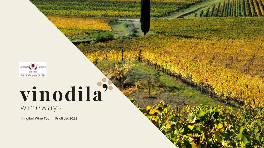 I migliori Wine Tour in Friuli del 2022