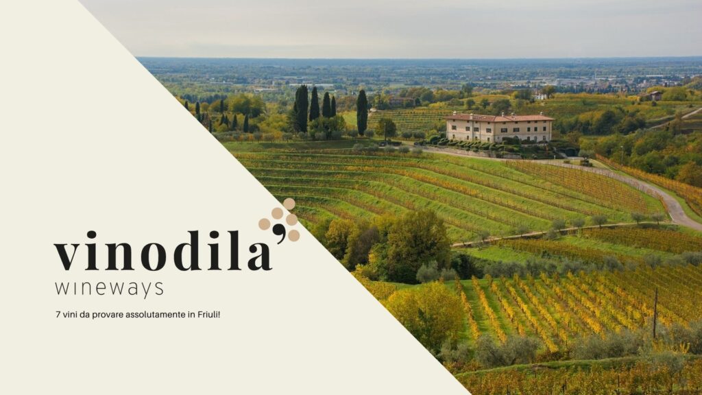 7 vini da provare assolutamente in Friuli! (2)