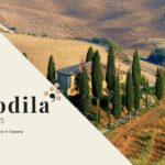 I 5 migliori vini da provare in Toscana