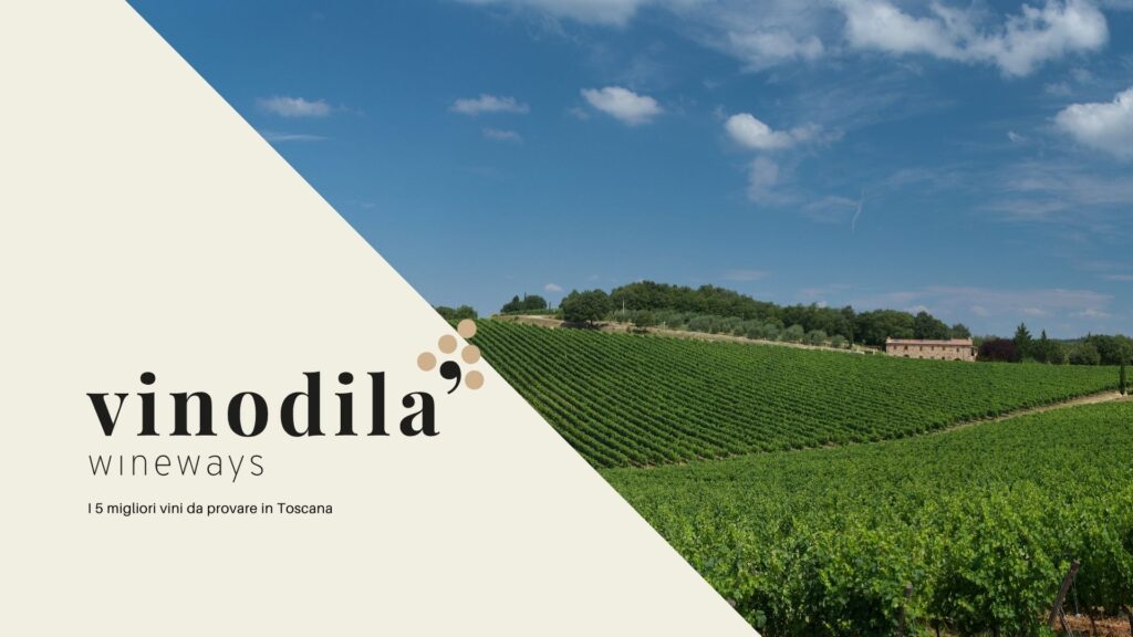 I 5 migliori vini da provare in Toscana (2)