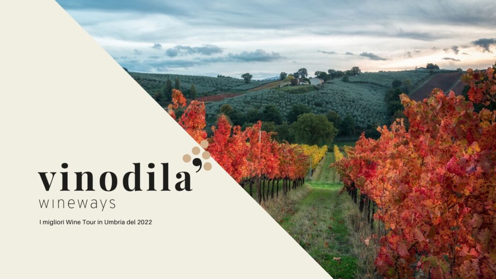 Dove fare un Wine Tour in Umbria del 2022?
