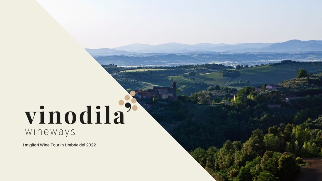 I migliori Wine Tour in Umbria del 2022