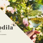 Migliori vini italiani da assaggiare in primavera