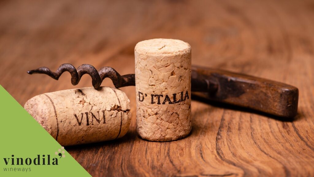 7 vini da scoprire in Friuli Venezia Giulia