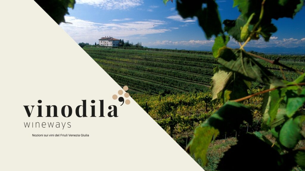 Nozioni sui vini del Friuli Venezia Giulia