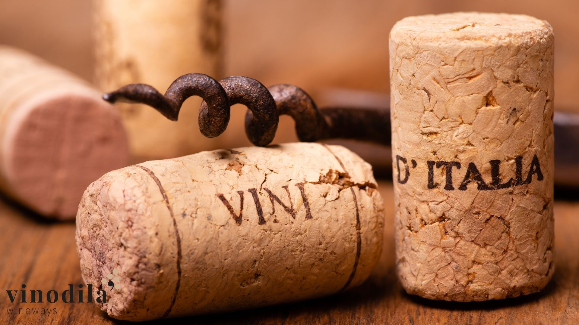 i 10 vini più costosi italiani