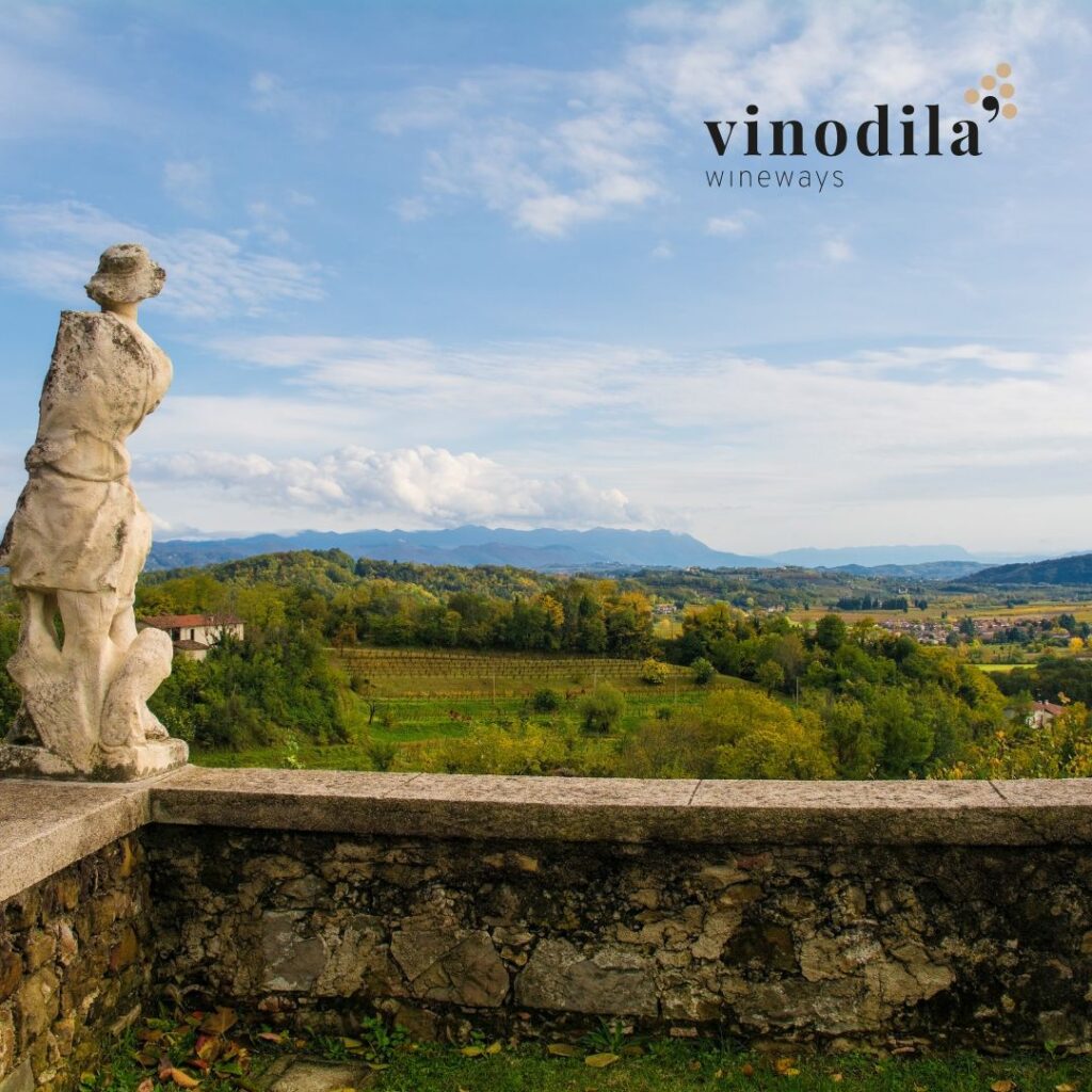 Regalo per un'esperienza in Friuli? Scegli Vinodila'