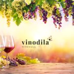 Quali sono i vini DOC del Friuli?