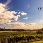 Il Fascino dei Vini Naturali del Friuli