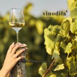 La Ribolla Gialla del Friuli: Un Elegante Vino Bianco dalle Radici Antiche