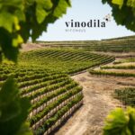 L’ anno nero per la produzione di vino in Friuli