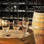Il Fascino del Vino Tannico: Scopri le caratteristiche e il significato dei Tannini
