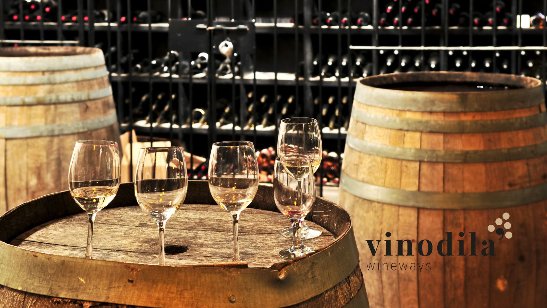 Tannico Il Fascino del Vino Tannico: Scopri le caratteristiche e il significato ...