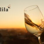 Qual è la Storia del Vino Friulano Chardonnay?