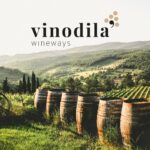 Vendemmia in Italia: tradizione, numeri e il ruolo del Friuli Venezia Giulia