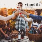 Enoturismo in Italia: Un viaggio tra vini e territori